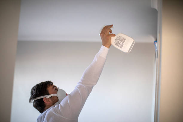 Best Mold Damage Repair  in Tara Hills, CA
