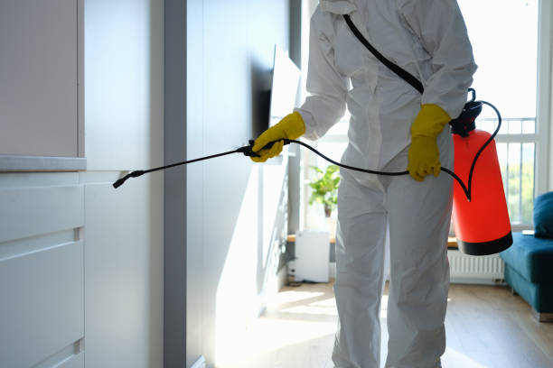 Best Residential Mold Removal  in Tara Hills, CA
