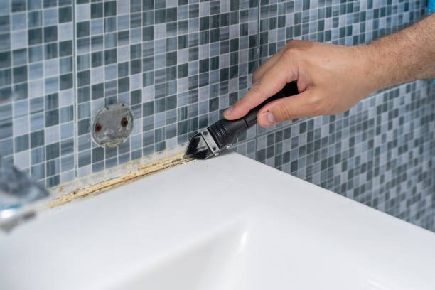 Best Commercial Mold Removal  in Tara Hills, CA